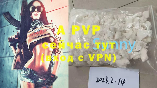 гидра Калач