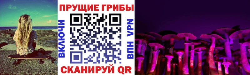 Псилоцибиновые грибы прущие грибы  где продают наркотики  Красавино 
