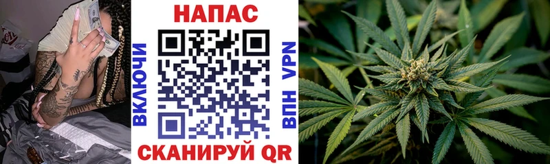 купить наркотики сайты  Красавино  маркетплейс клад  Бошки Шишки THC 21% 